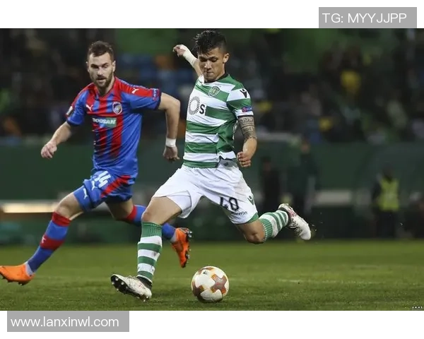 杀沙姆洛克与博莱斯拉的巅峰对决谁将赢得最终荣耀